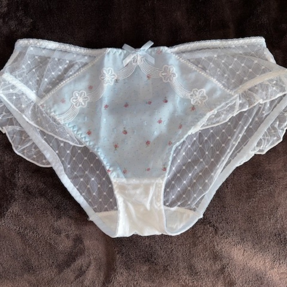 Light Blue Lolita fine mesh lace Panties